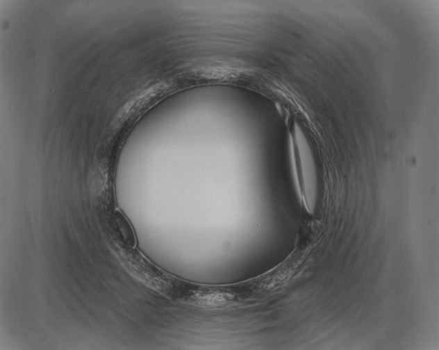 X0000085020407200703261226