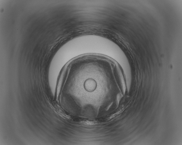 X0000085020412200703261226