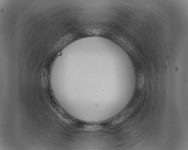 X0000085020414200703261226