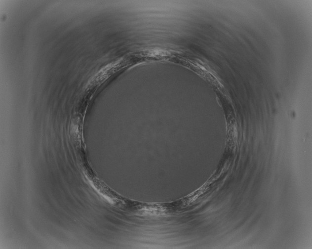 X0000085020415200703261226