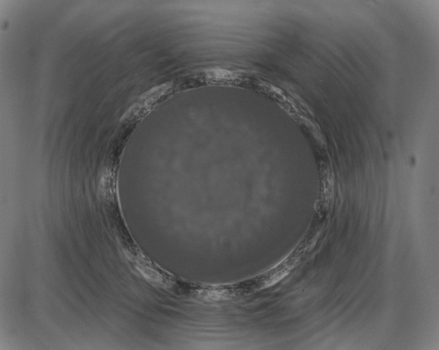 X0000085020419200703261225