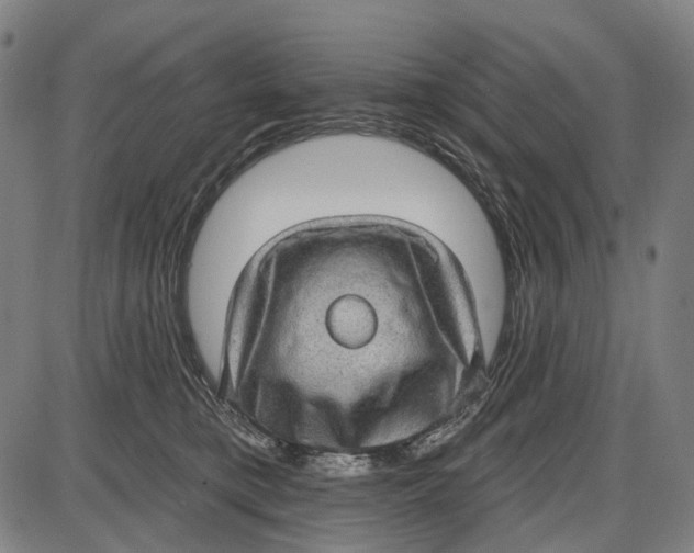 X0000085020421200703261225