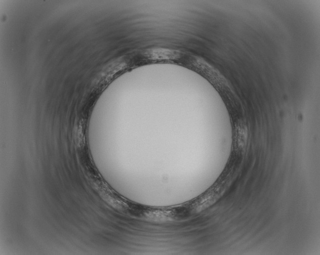 X0000085020422200703261225