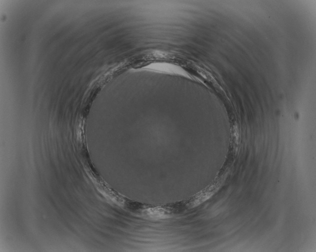 X0000085020423200703261225