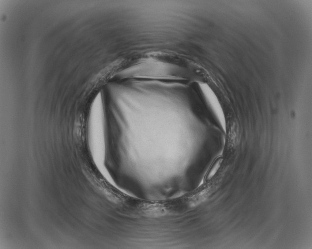 X0000085020424200703261225