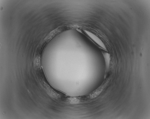 X0000085020425200703261225