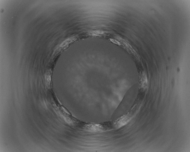 X0000085020427200703261225