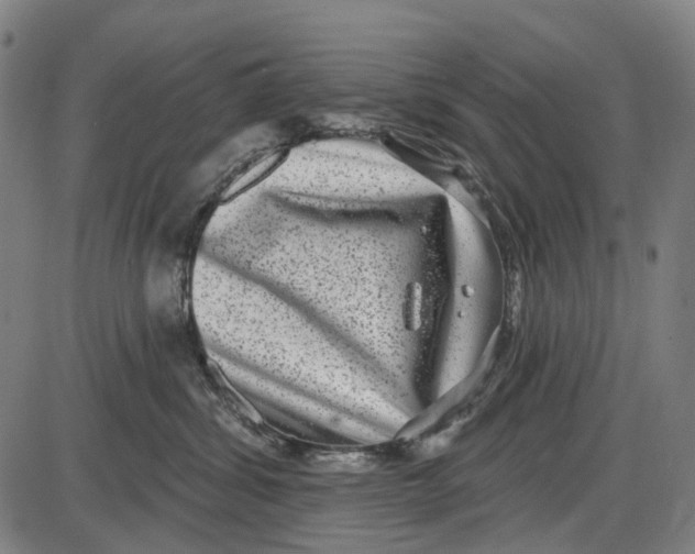 X0000085020428200703261225