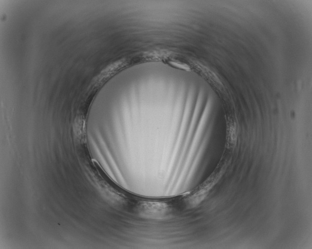 X0000085020429200703261225
