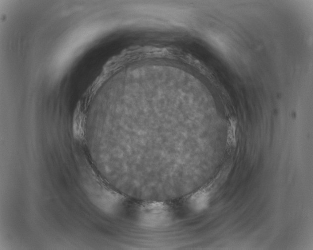 X0000085020431200703261225