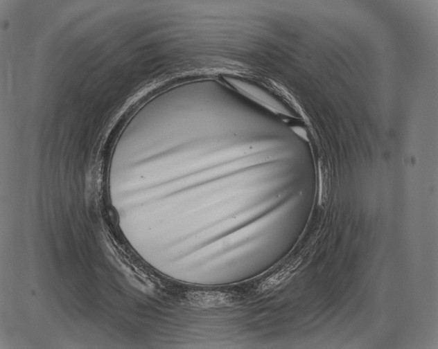 X0000085020435200703261224