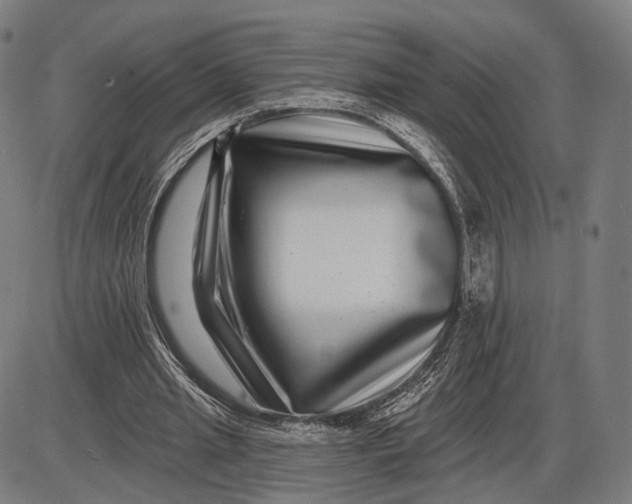 X0000085020437200703261225