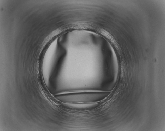 X0000085020439200703261225