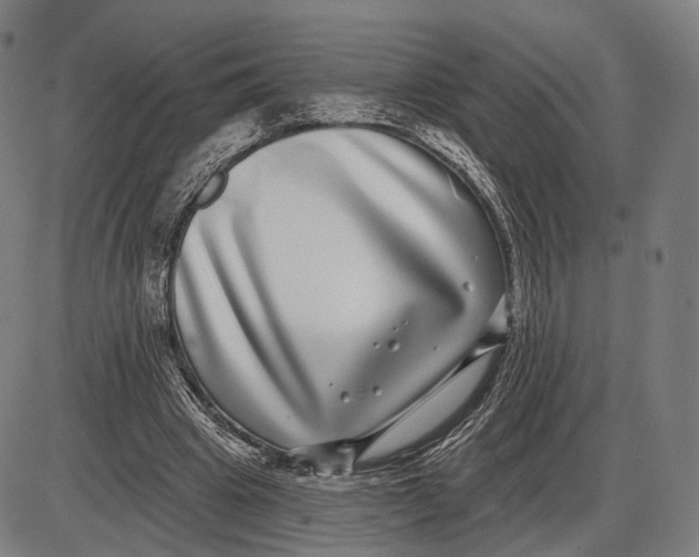 X0000085020441200703261225