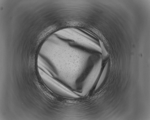 X0000085020442200703261225