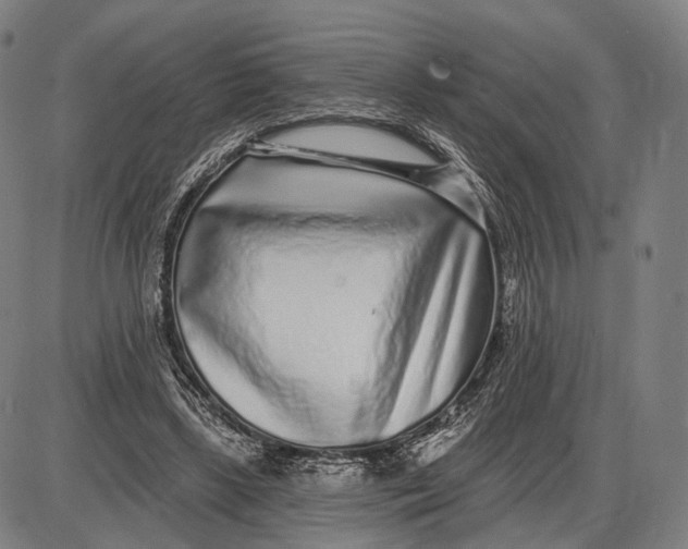 X0000085020443200703261225