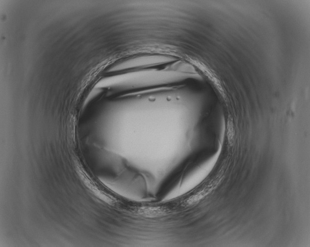 X0000085020445200703261225