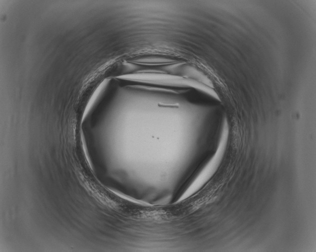 X0000085020446200703261225