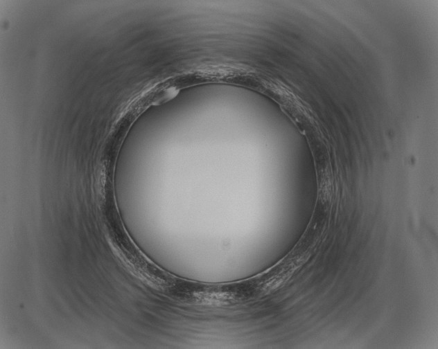 X0000085020448200703261225