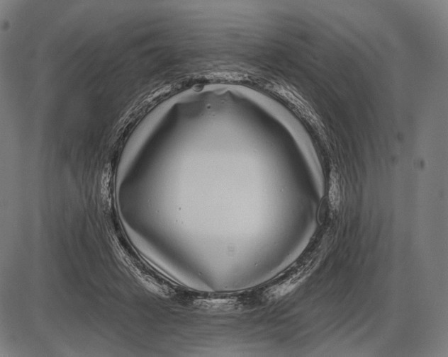X0000085020449200703261225