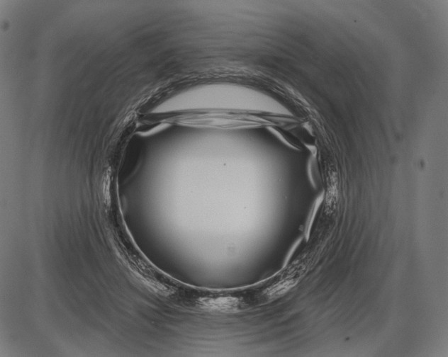 X0000085020452200703261225