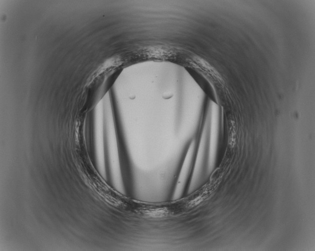 X0000085020456200703261225