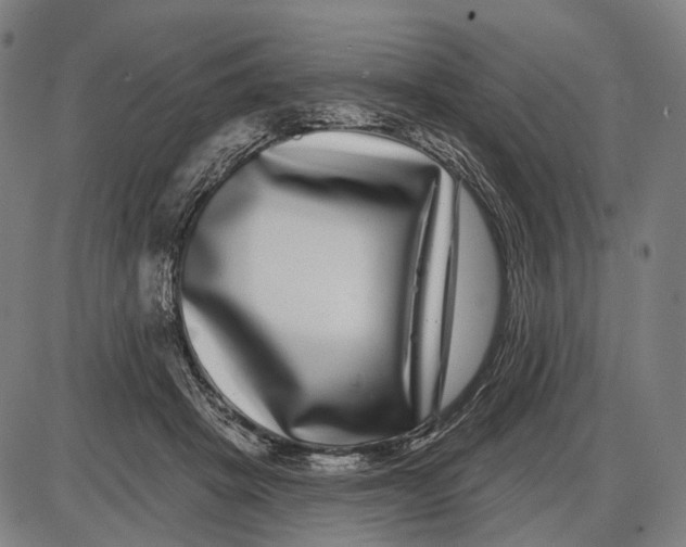 X0000085020457200703261225