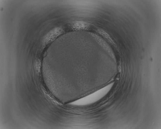 X0000085020458200703261225