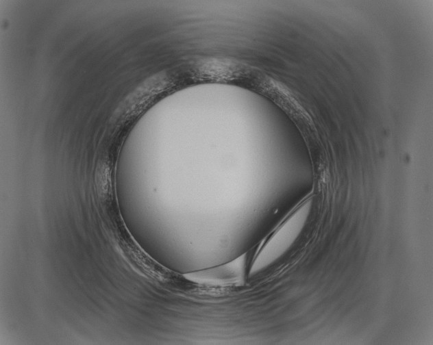 X0000085020459200703261225