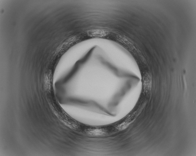 X0000085020460200703261225