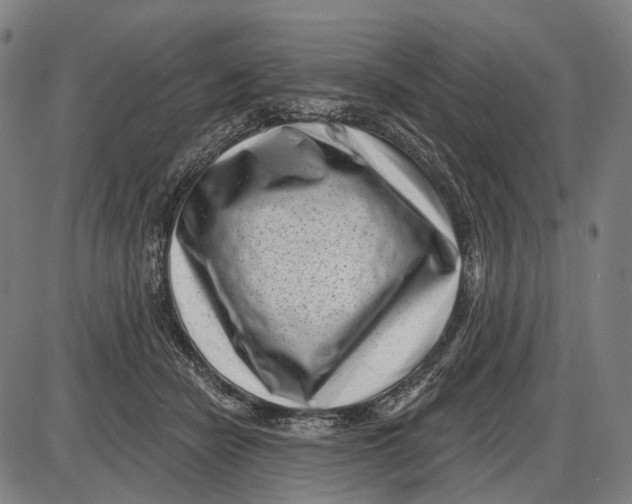 X0000085020462200703261225