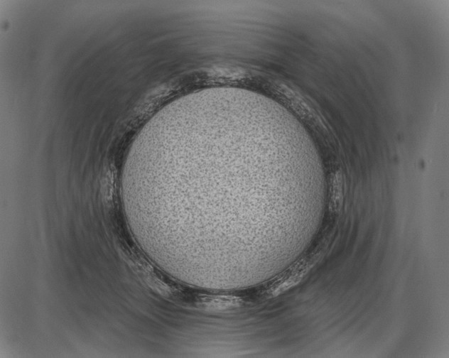 X0000085020463200703261225