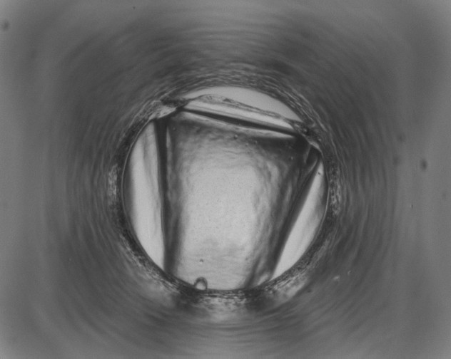 X0000085020466200703261225