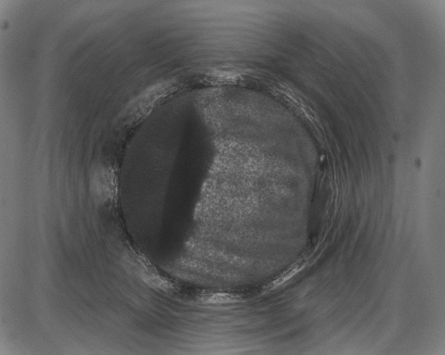 X0000085020467200703261225