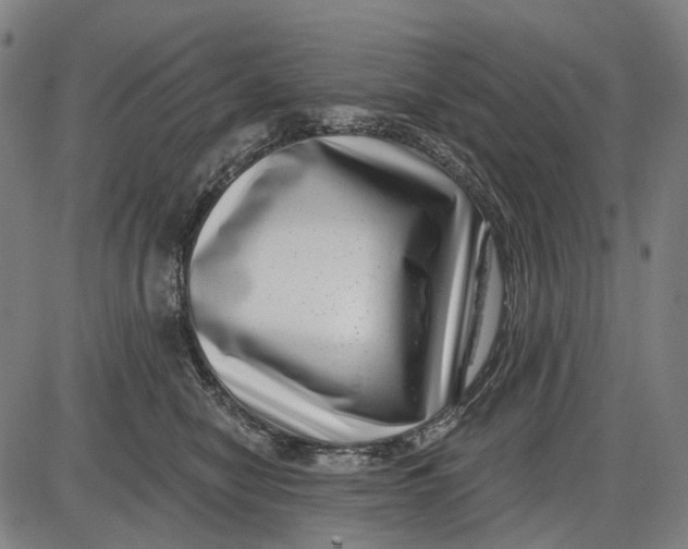 X0000085020470200703261225