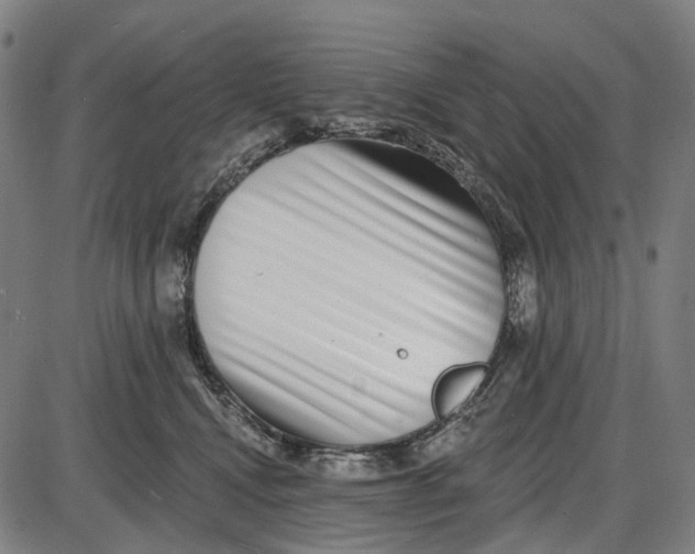 X0000085020472200703261225