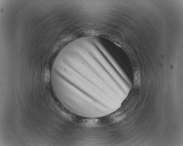 X0000085020474200703261225