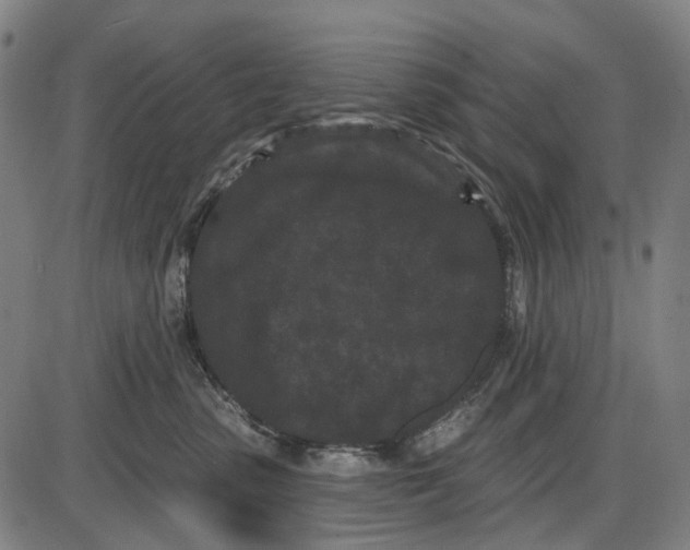 X0000085020475200703261225