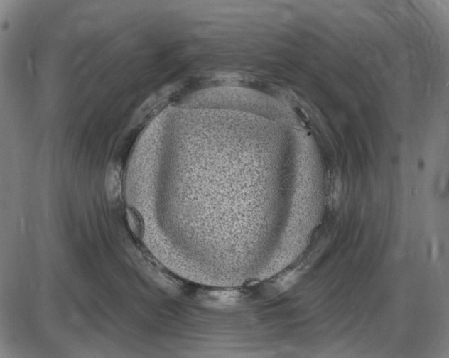 X0000085020478200703261225