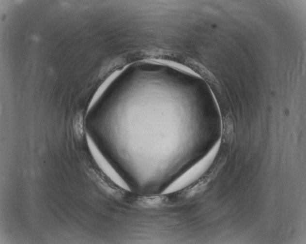 X0000085020479200703261225