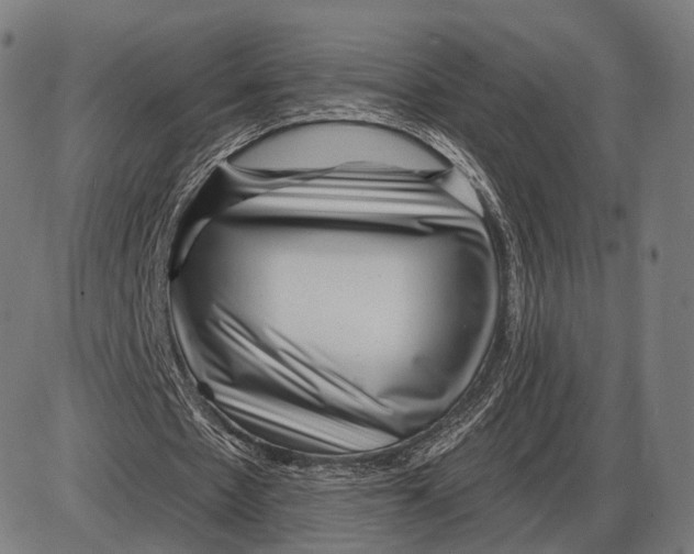 X0000085020481200703261224