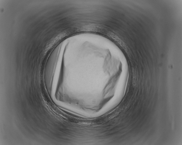X0000085020482200703261224