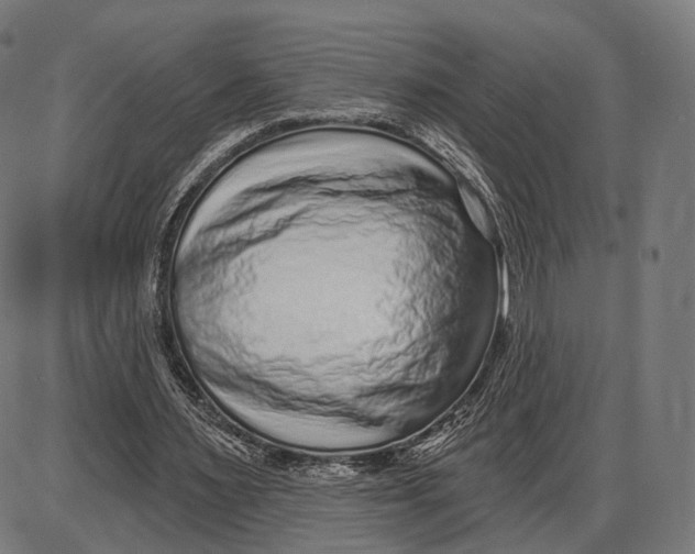 X0000085020483200703261224