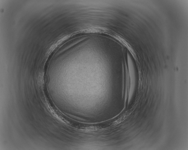 X0000085020485200703261224