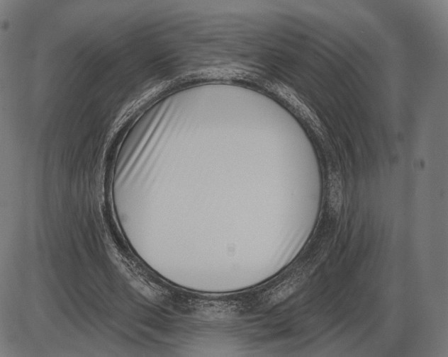 X0000085020486200703261224
