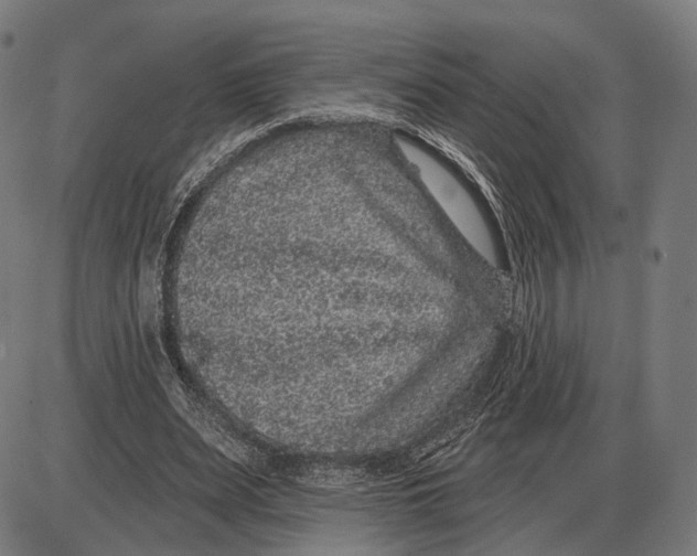 X0000085020487200703261224