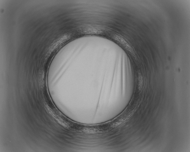 X0000085020490200703261224