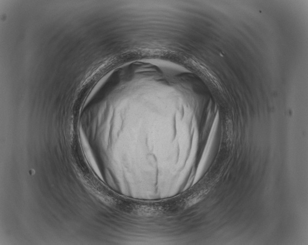 X0000085020494200703261224