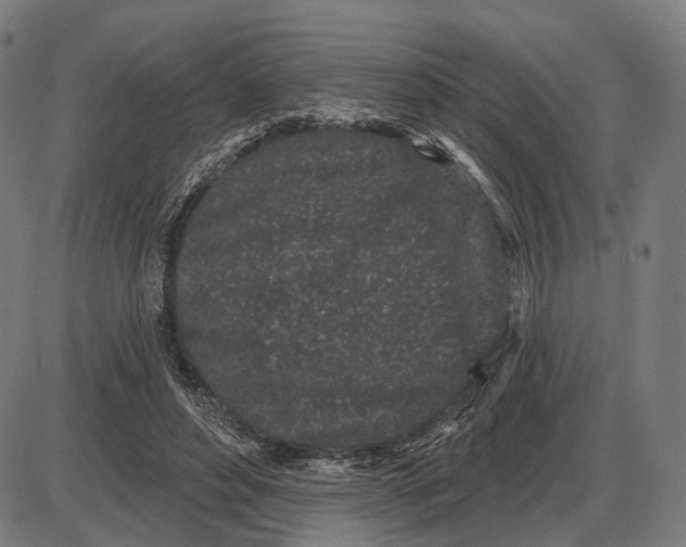X0000085020496200703261224