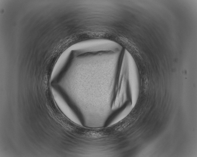 X0000085020498200703261224